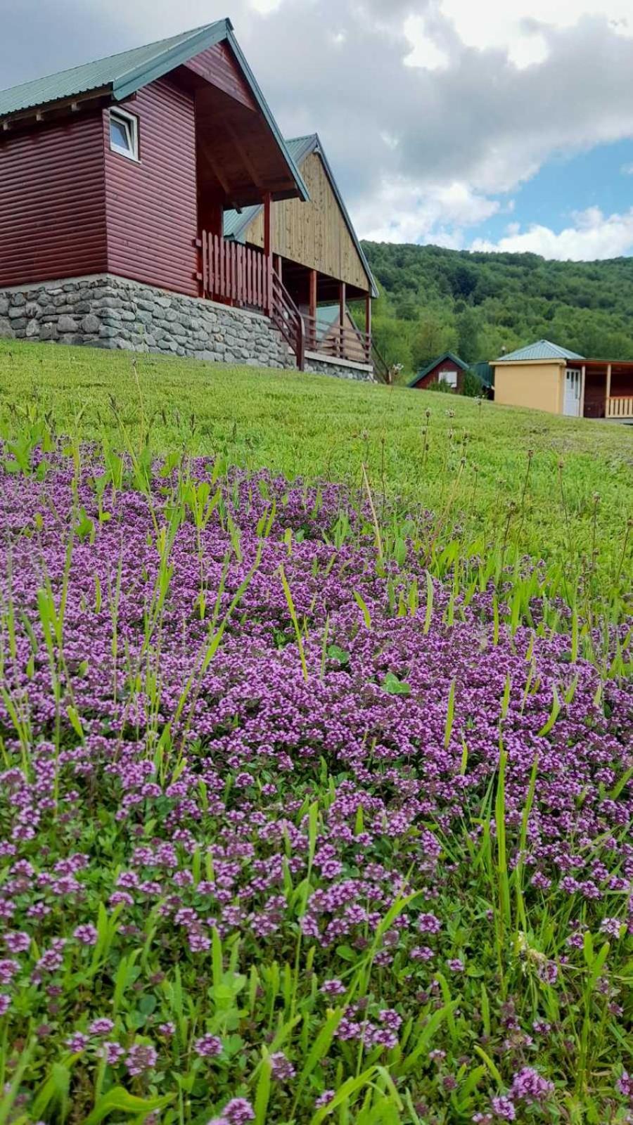 Ethno Village & Resort Coric Mojkovac Esterno foto